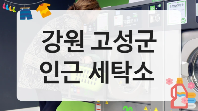 고성군 실속 있는 세탁소 고르는 법 추천 리스트