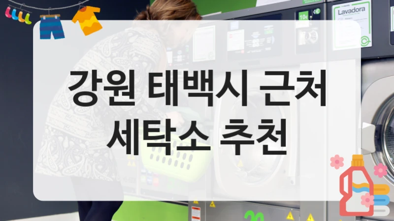 강원 태백시 근처 세탁소 추천