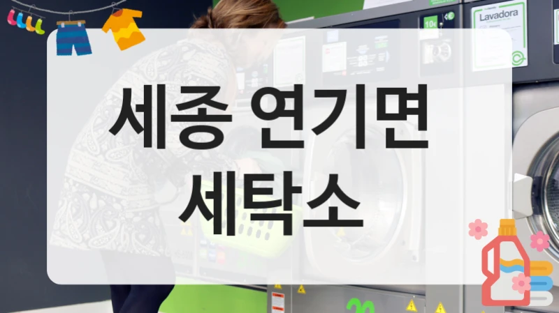 세종 연기면  세탁소