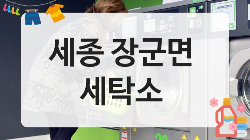 세종 장군면  세탁소