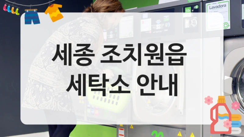 세종 조치원읍  세탁소 안내