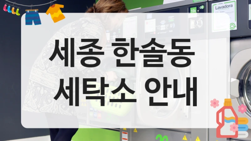 세종 한솔동  세탁소 안내