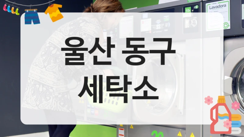 울산 동구  세탁소