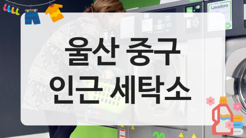 울산 중구 인근 세탁소