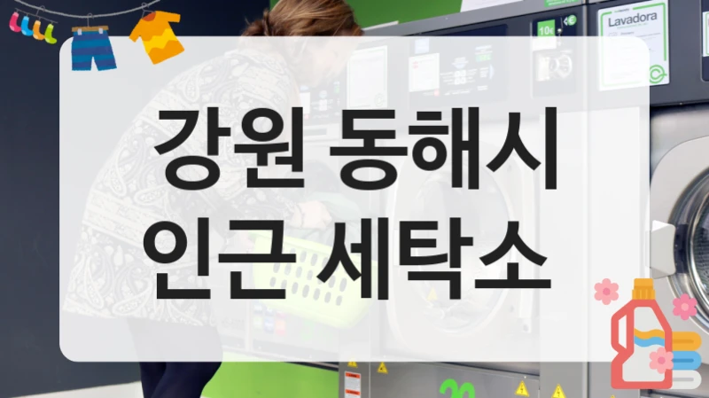 강원 동해시 이불 맞춤 세탁소 정리, 세탁 꿀팁까지