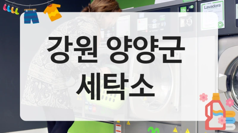 강원 양양군  세탁소
