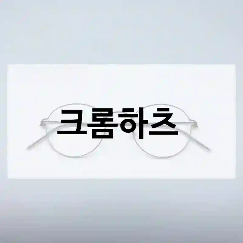 이런 케이스에 추천드려요 – “크롬하츠”.