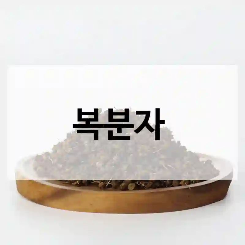복분자