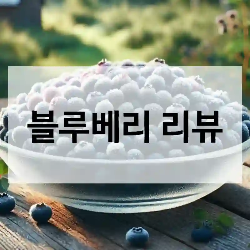 블루베리 리뷰