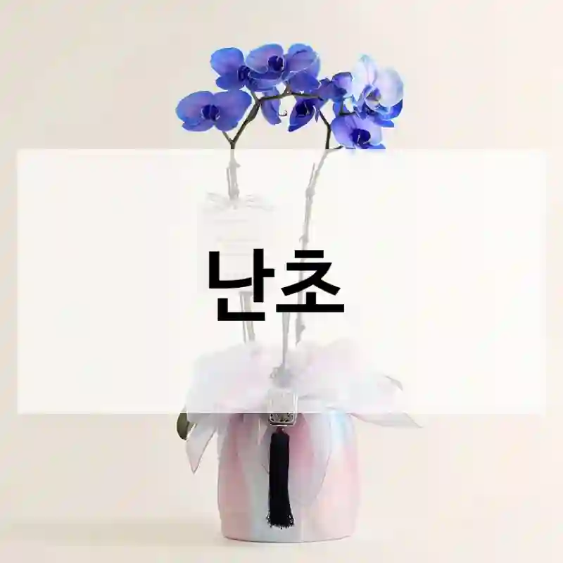 난초
