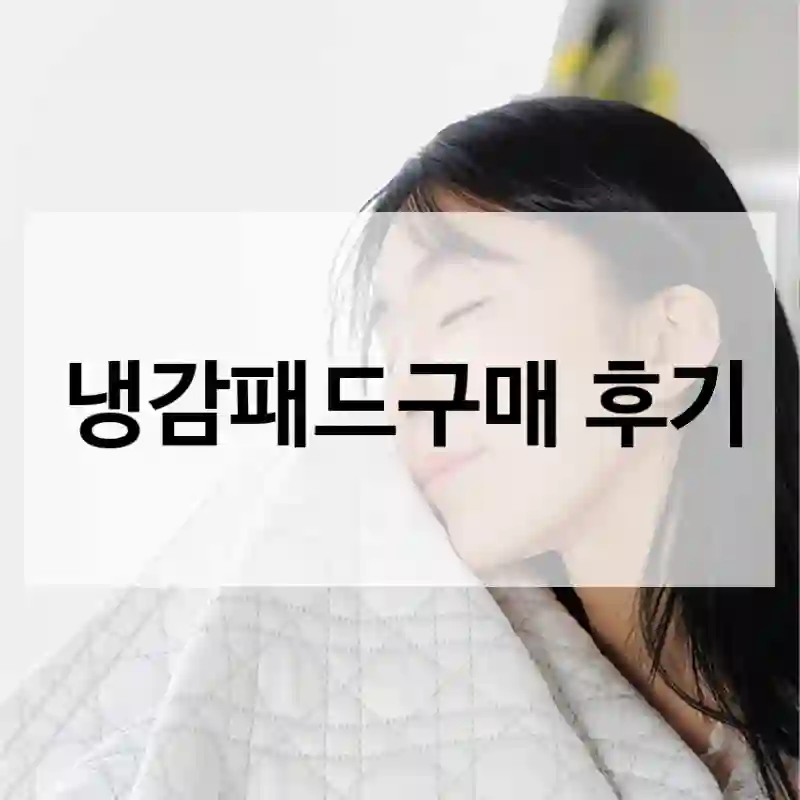 온더스 냉감패드-이건 인정