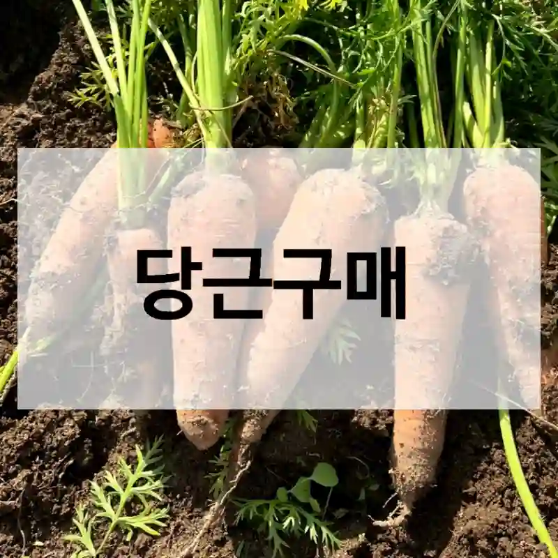 당근구매