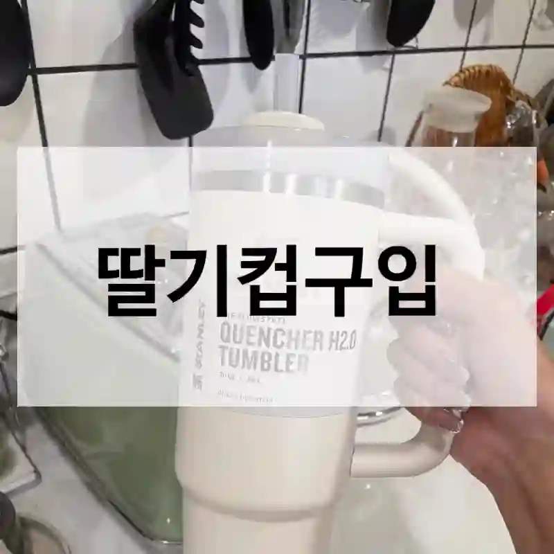 딸기컵구입