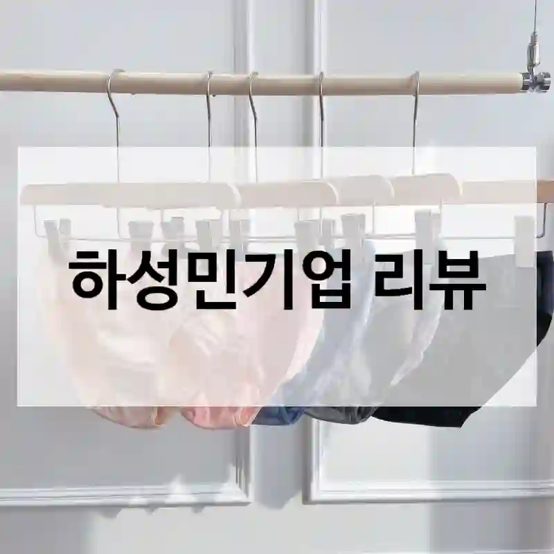 하성민기업 리뷰