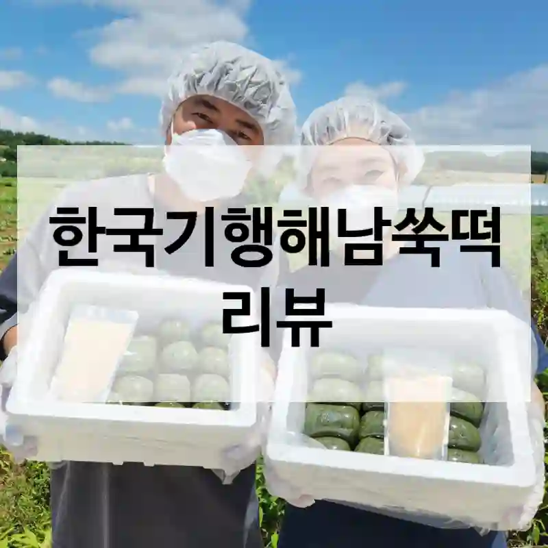 한국기행해남쑥떡 리뷰