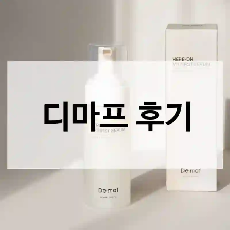 디마프 후기