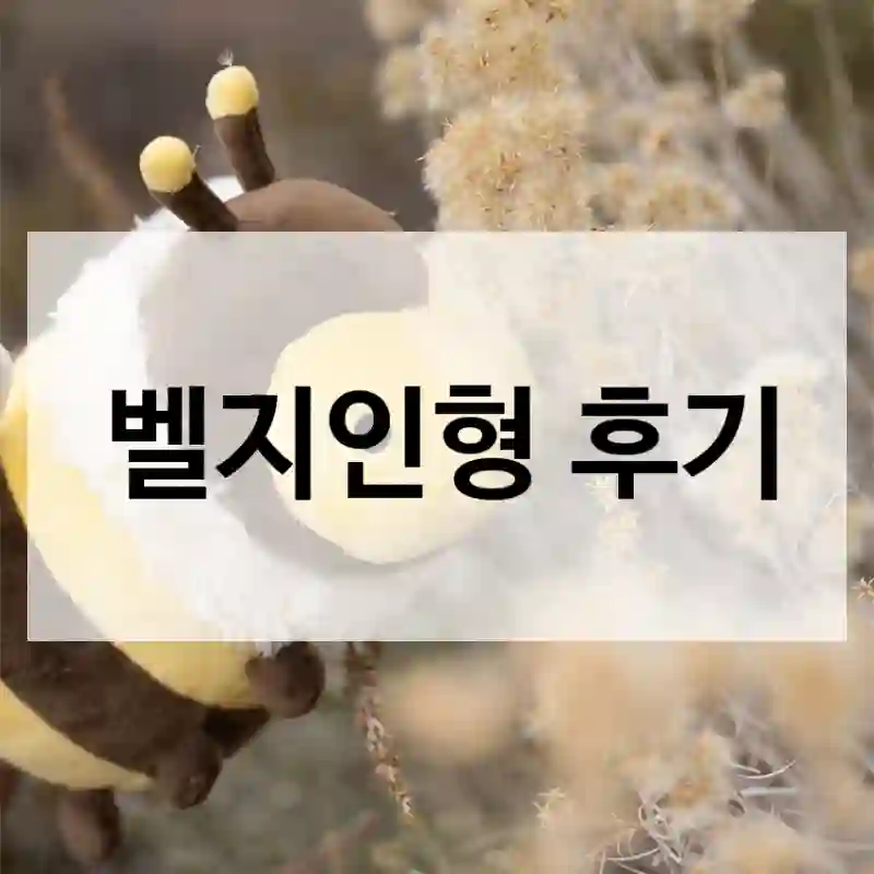 벨지인형 후기