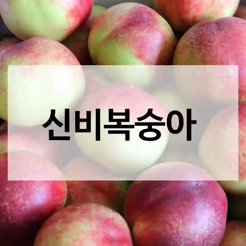 신비복숭아
