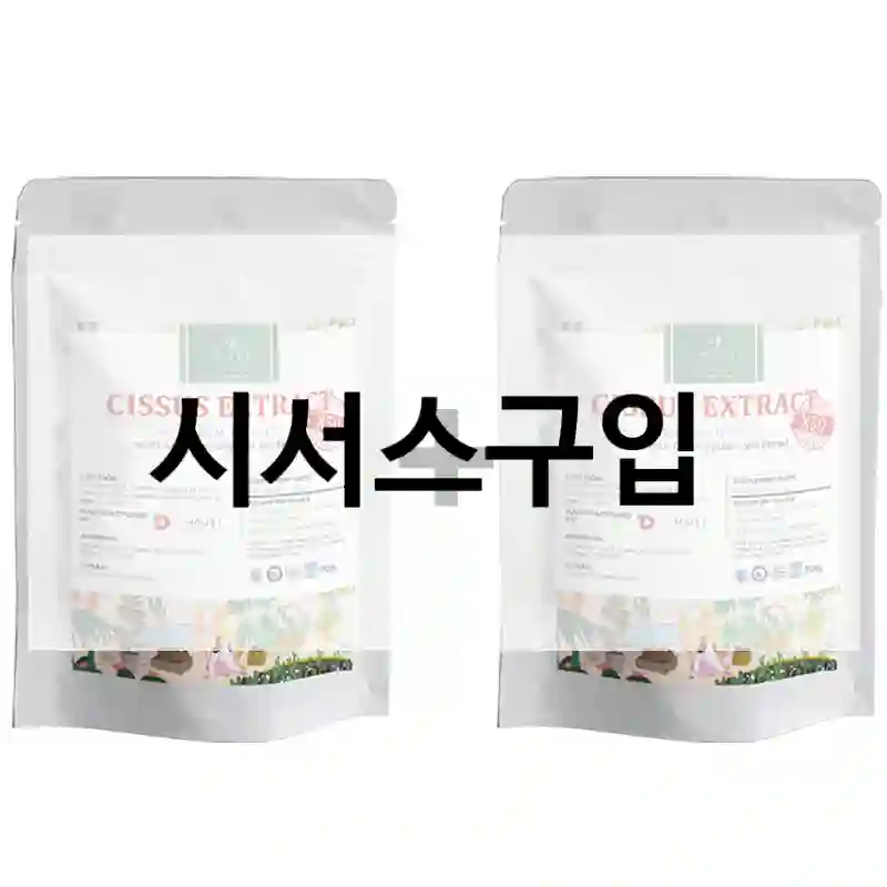 시서스 체험 리뷰 – 솔직히 어떤가요?