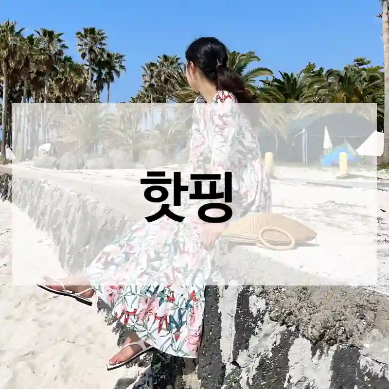 사용자 관점에서 본 “핫핑” 분석, 빅사이즈여성의류
