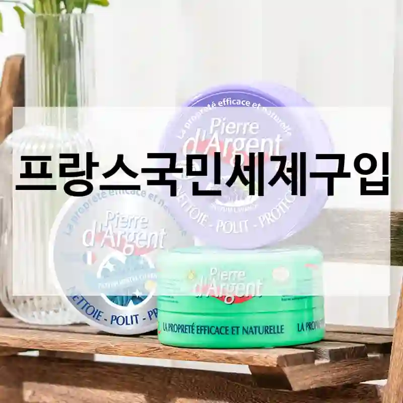 프랑스국민세제구입