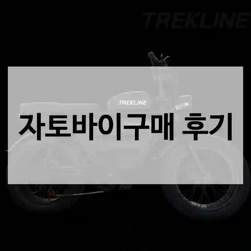 자토바이구매 후기