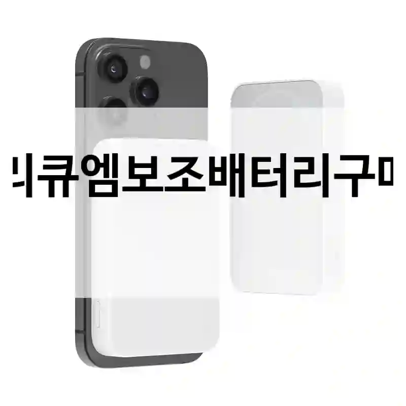 리큐엠보조배터리구매