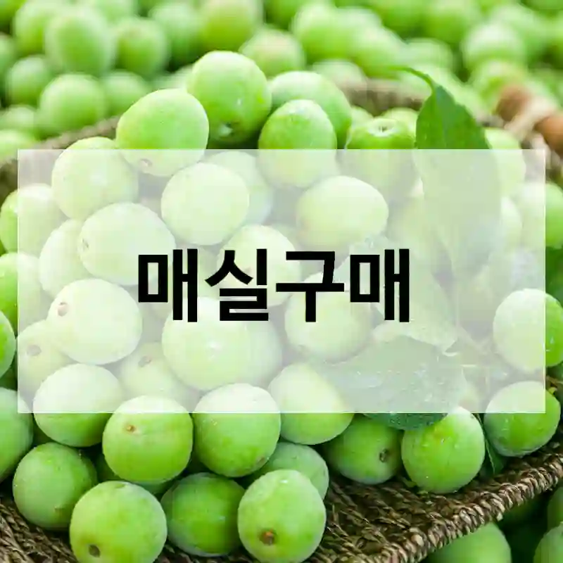 매실구매