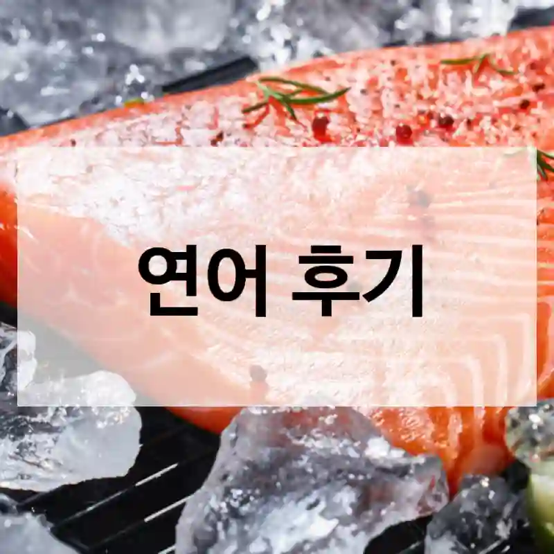 연어 후기