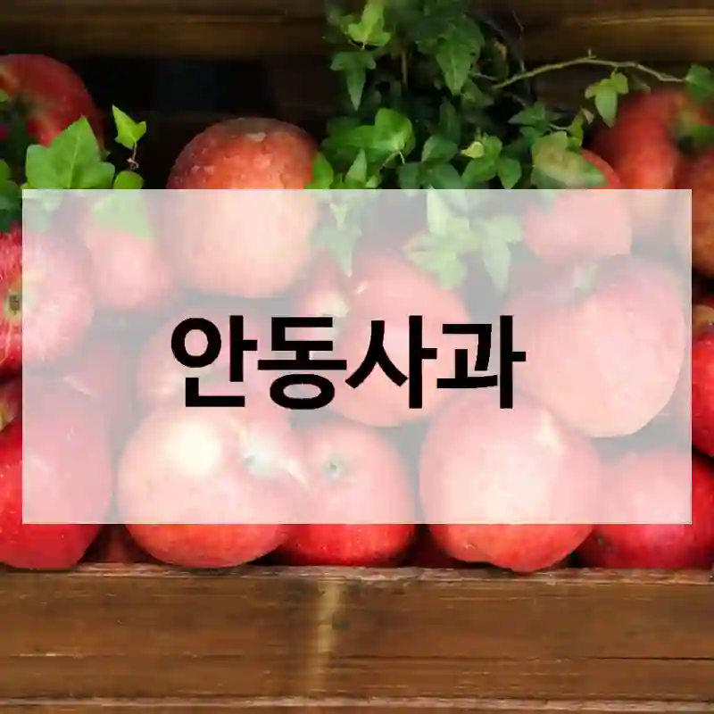 안동사과
