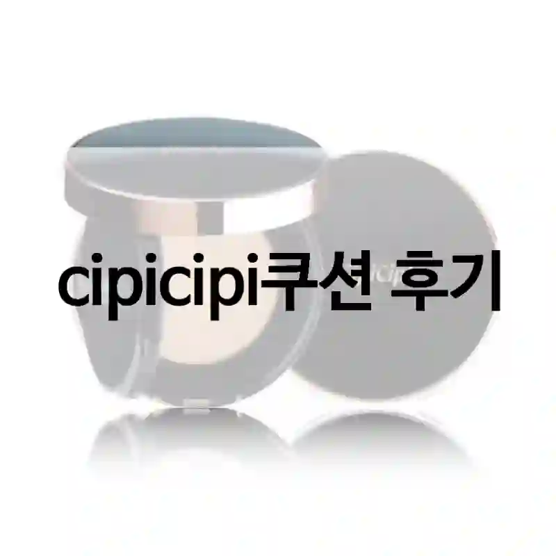 cipicipi쿠션 후기