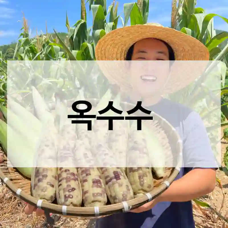 옥수수