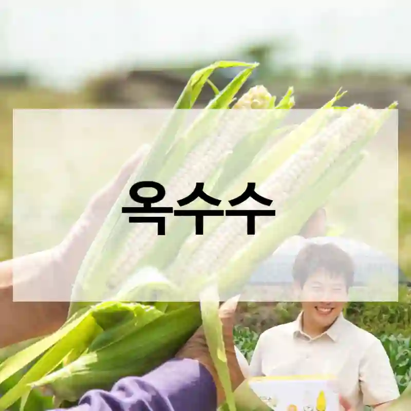 옥수수
