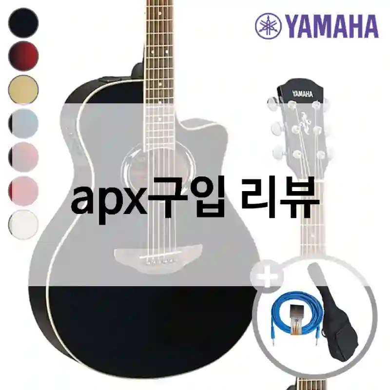 apx구입 리뷰