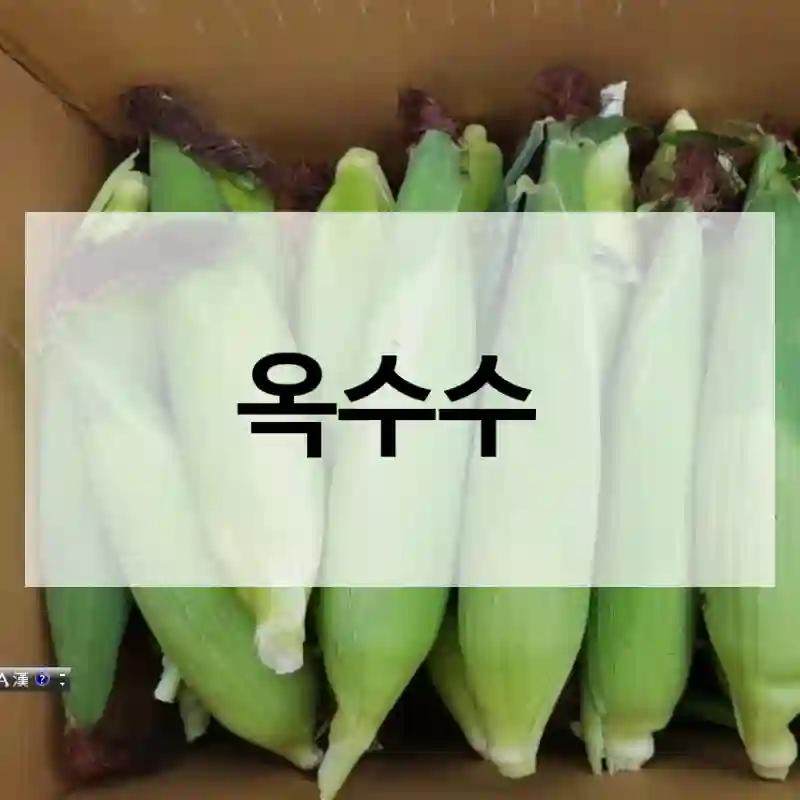 옥수수