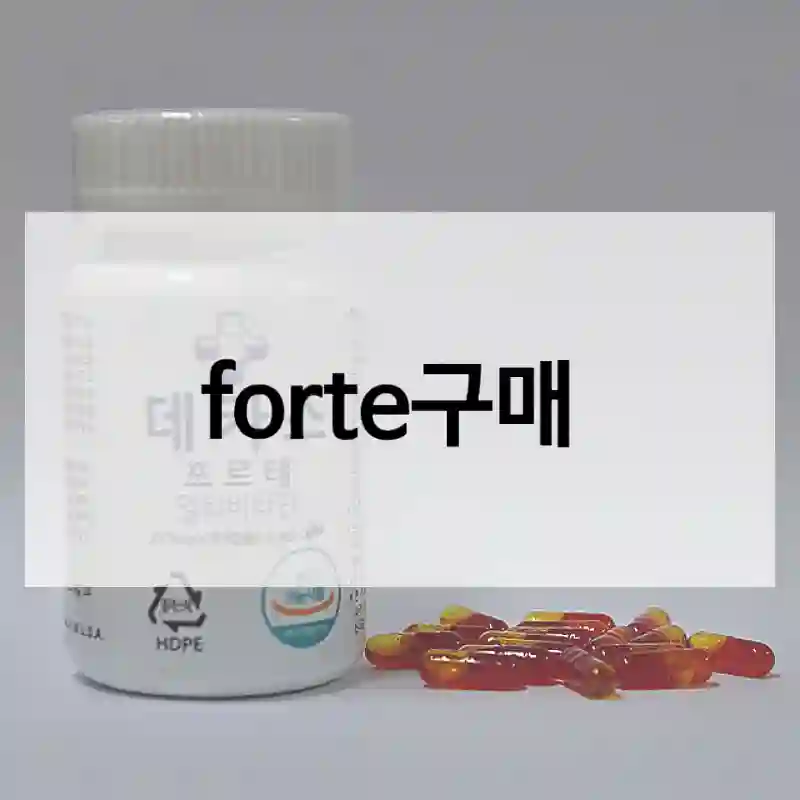 비교 끝에 고른 forte 사용기