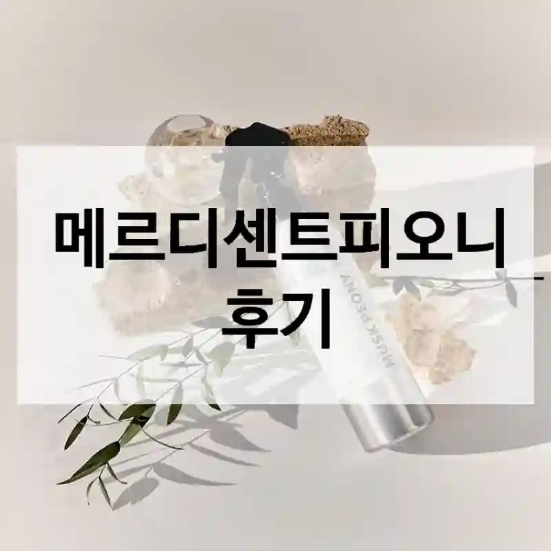 메르디센트피오니 후기