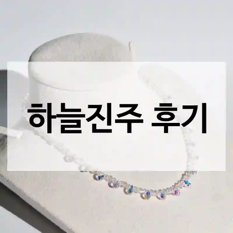 하늘진주 후기