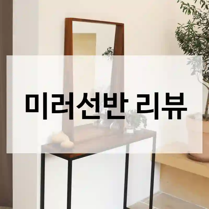 두두할배 “미러선반” 간단 후기