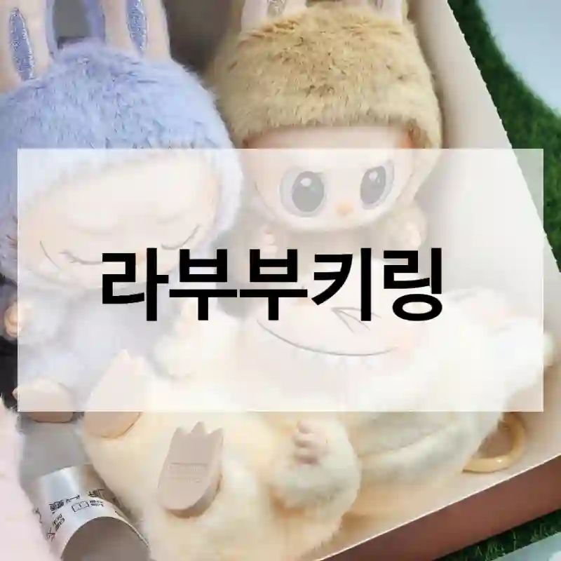 구매 전 필독! 라부부키링, 정품