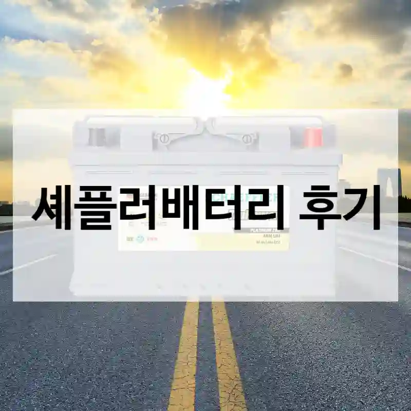 셰플러배터리 후기