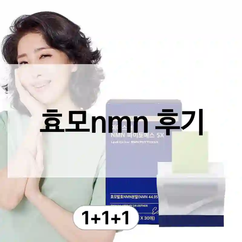 효모nmn 후기