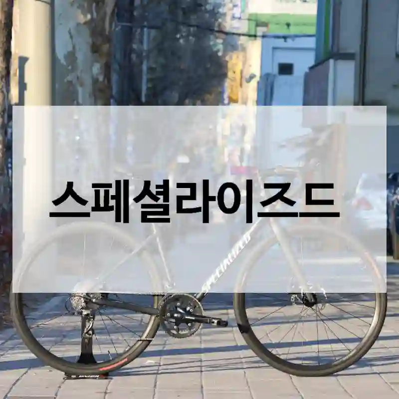 스페셜라이즈드