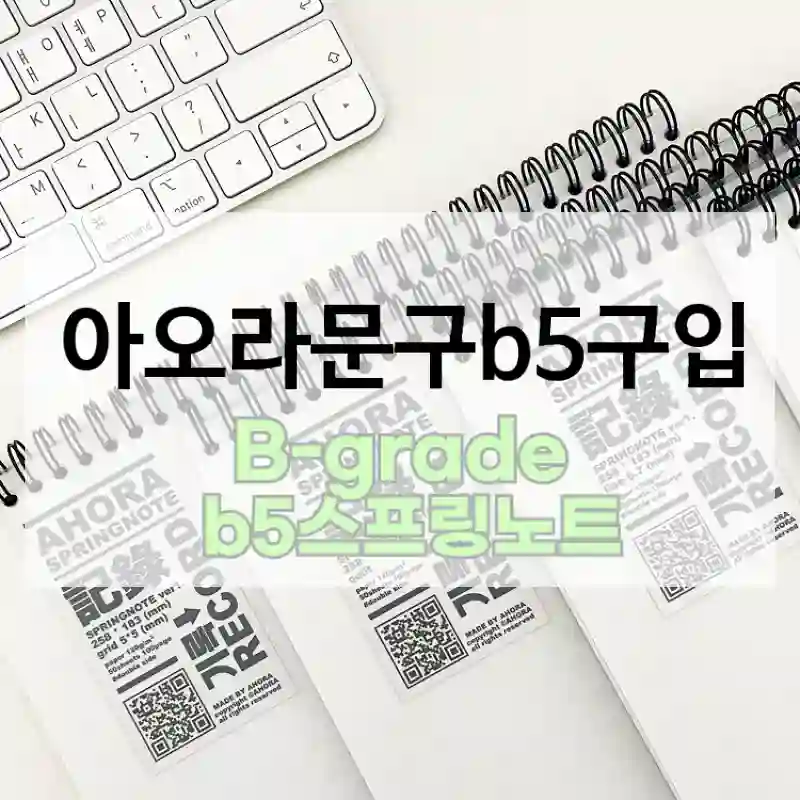 아오라문구b5구입