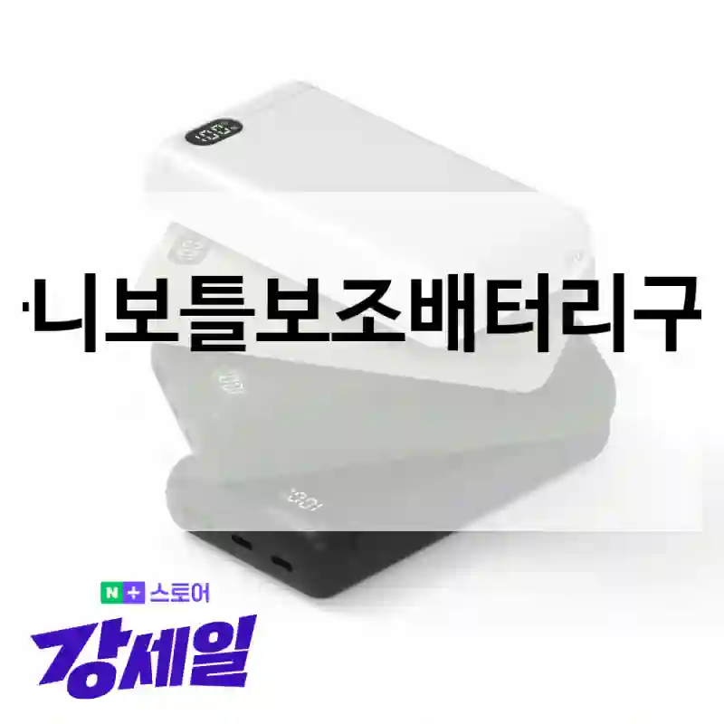 빠니보틀보조배터리구입