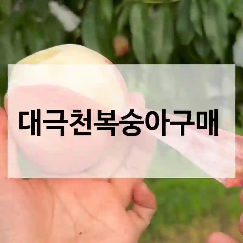 대극천복숭아구매