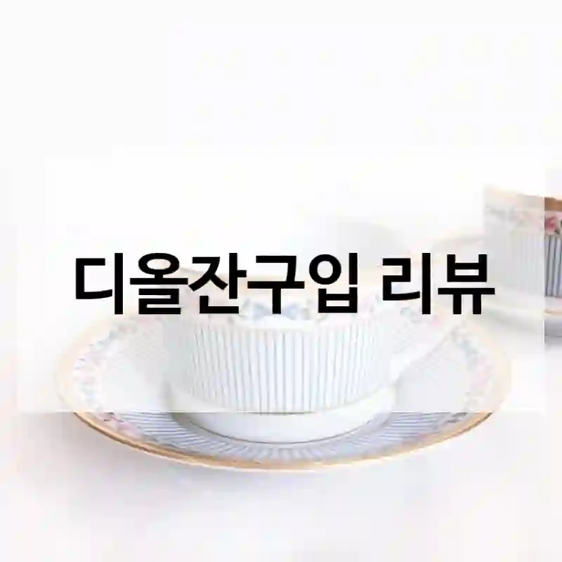 디올잔구입 리뷰