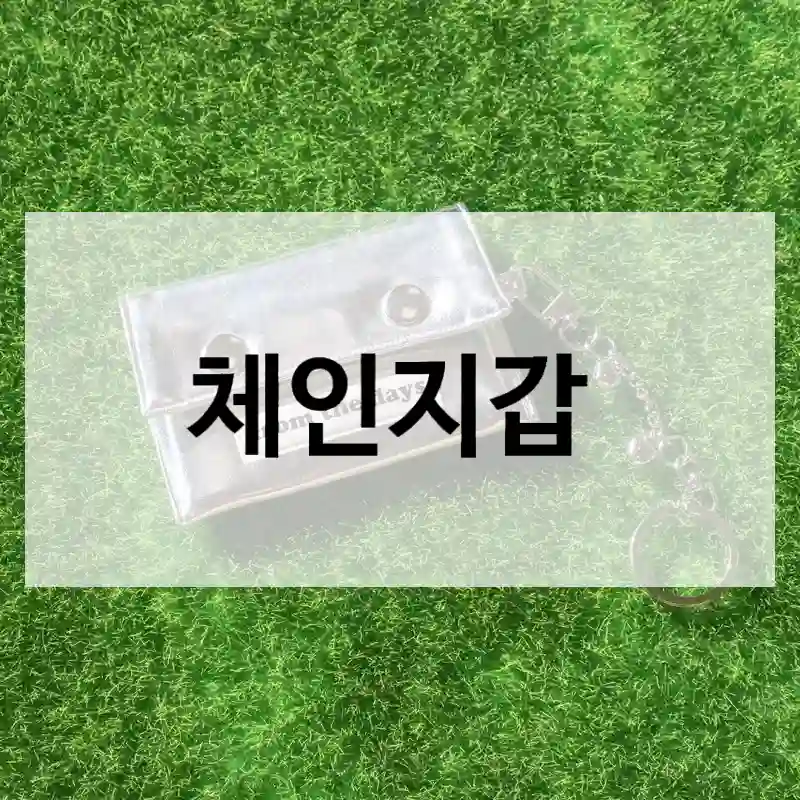 체인지갑 직접 후기 – 기대해도 될까?