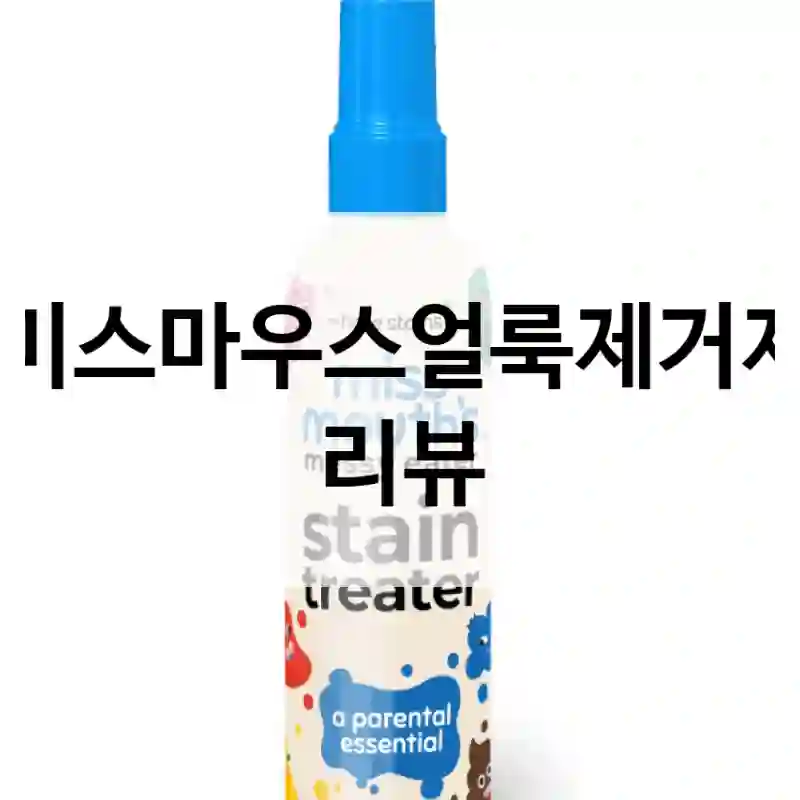 미스마우스얼룩제거제 리뷰