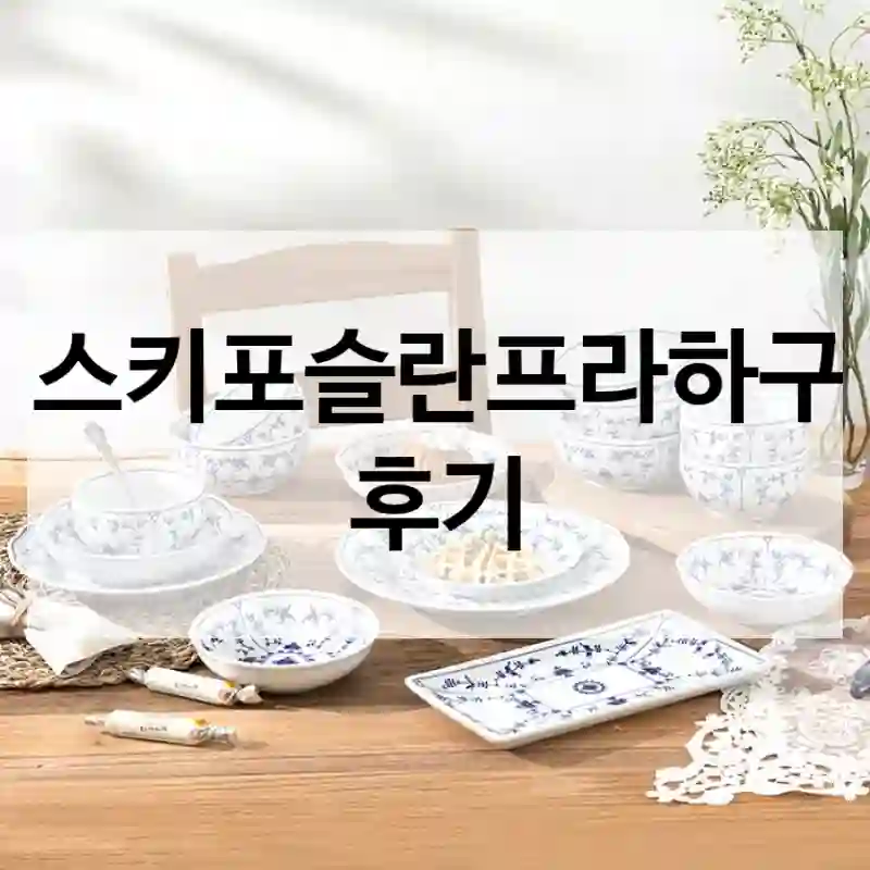 체스키포슬란프라하구입 후기